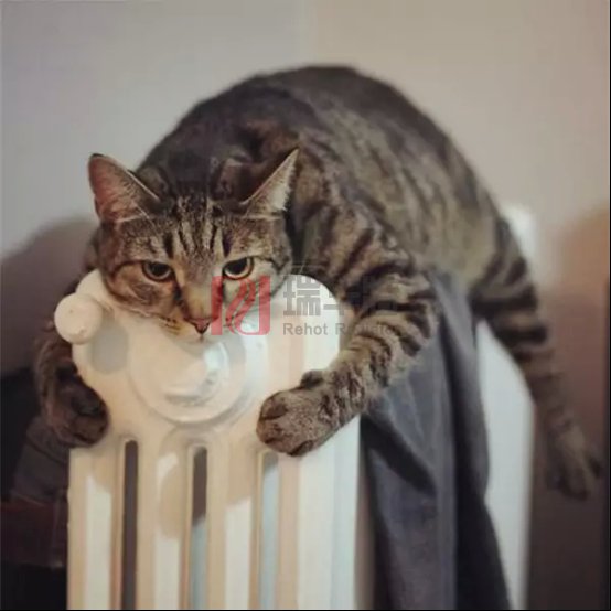 暖氣片變“百變星君”，讓你一次玩?zhèn)€夠